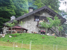 Arrivo a Malga Canali (39333 bytes)